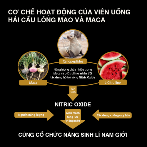 Tăng cường sinh lý nam Hải cẩu lông mao Ottopin Ottosei Maca - GÓI 20 viên